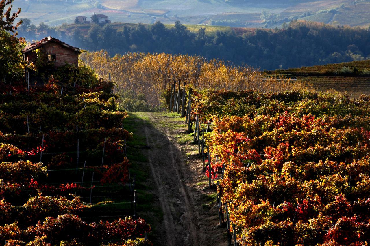 Albergo Castiglione Langhe Castiglione Tinella ภายนอก รูปภาพ