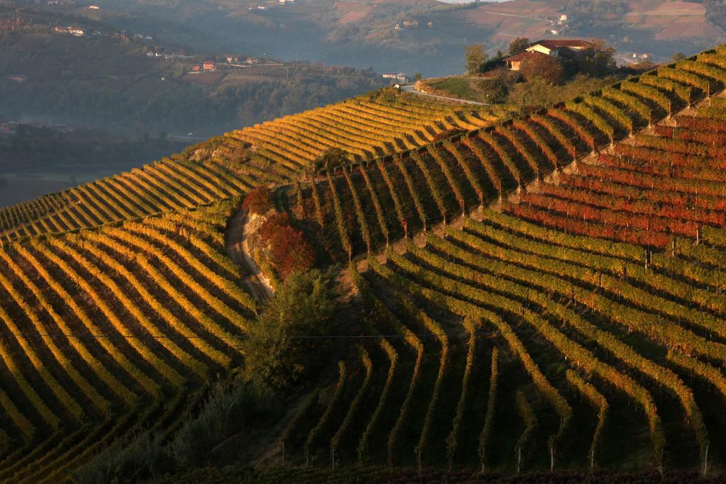 Albergo Castiglione Langhe Castiglione Tinella ภายนอก รูปภาพ